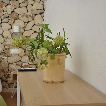 Vico Degli Ebrei - - Rooftop Jacuzzi 招待所 莱韦拉诺