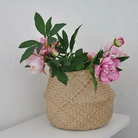 Vico Degli Ebrei - - Rooftop Jacuzzi 招待所